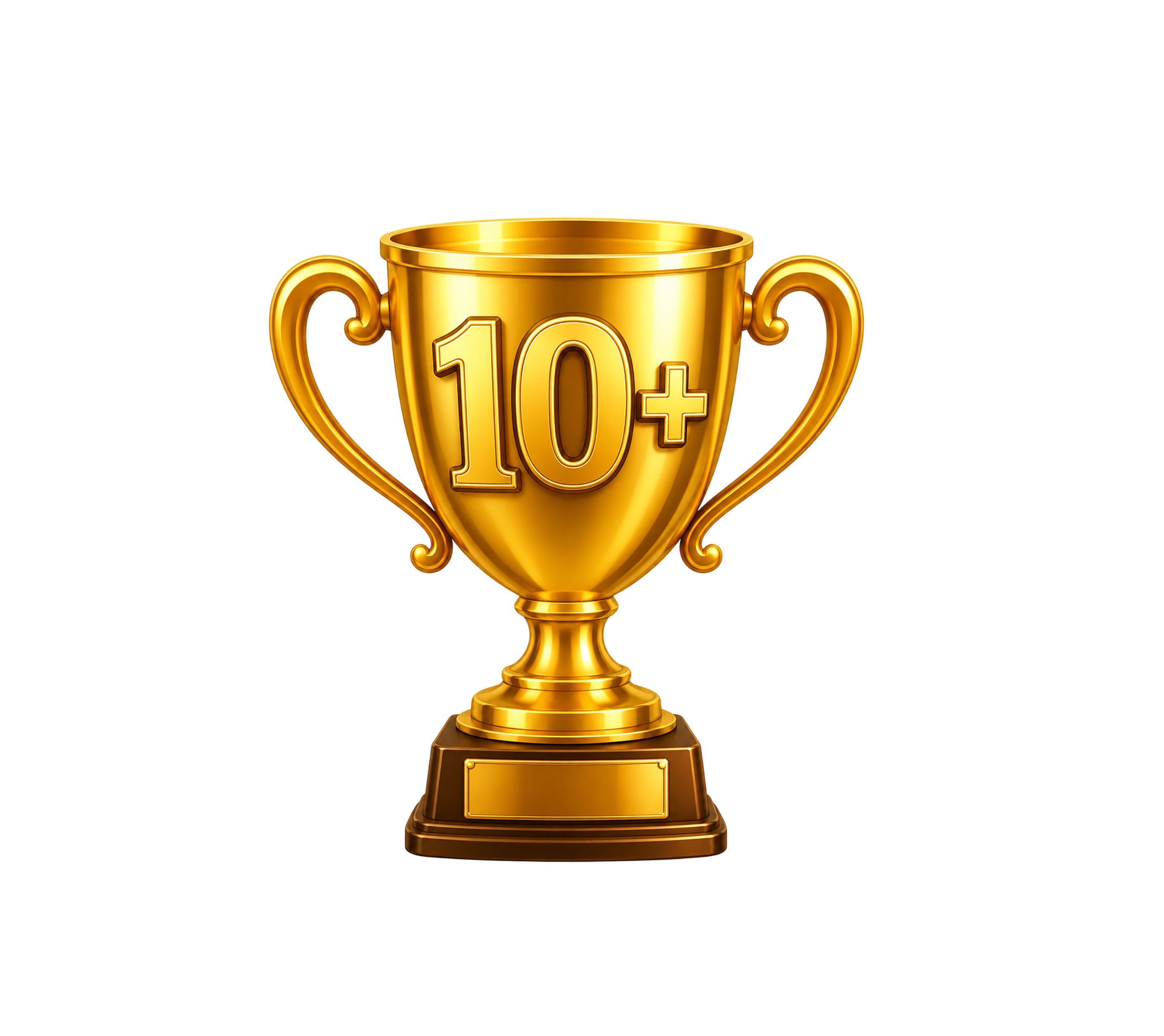 Более 10 лет опыта