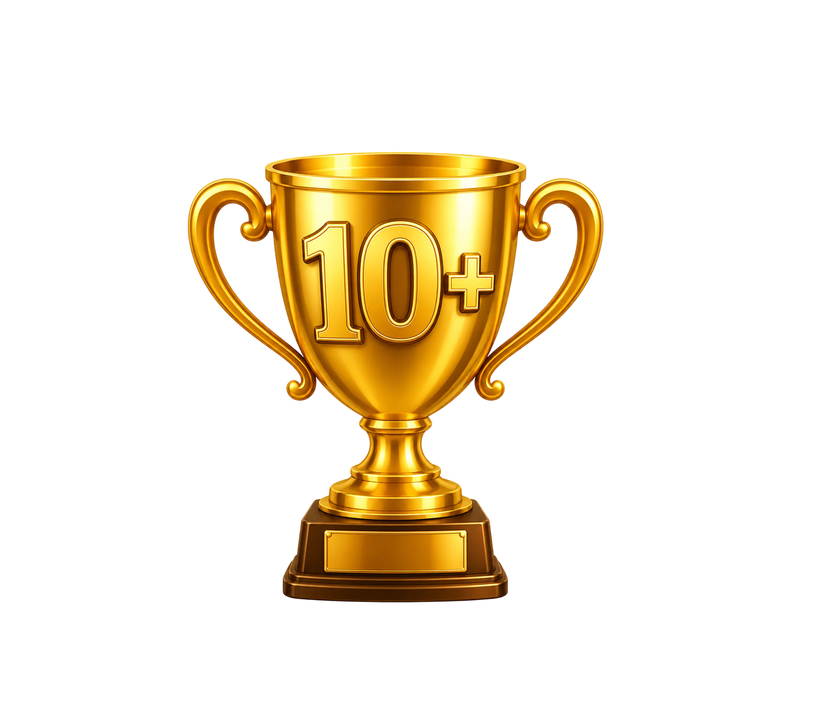 Более 10 лет опыта